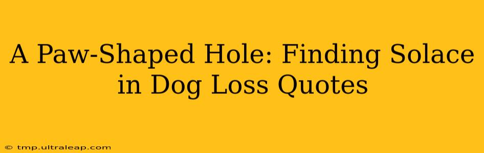 A Paw-Shaped Hole: Finding Solace in Dog Loss Quotes