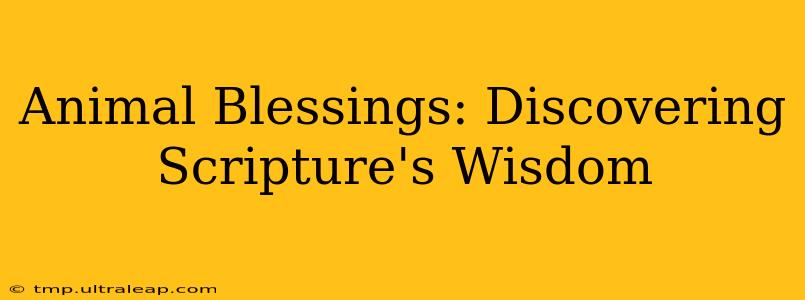 Animal Blessings: Discovering Scripture's Wisdom