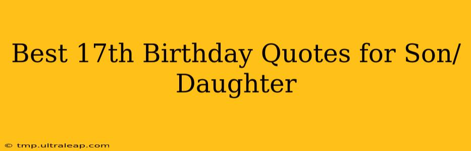 Best 17th Birthday Quotes for Son/Daughter