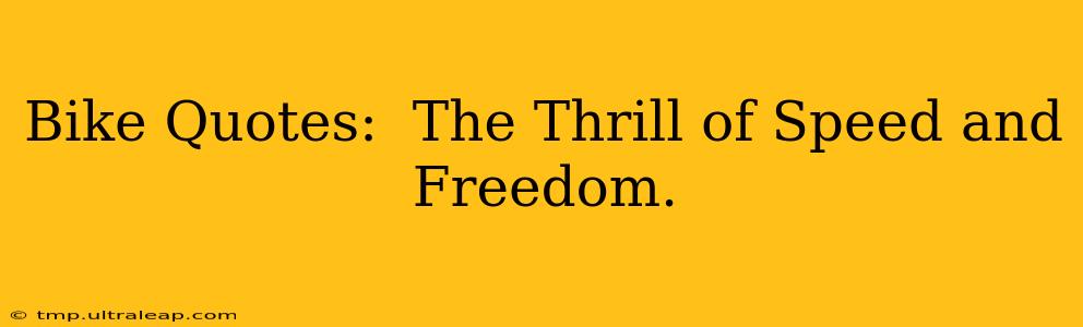 Bike Quotes:  The Thrill of Speed and Freedom.