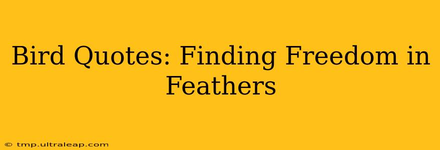 Bird Quotes: Finding Freedom in Feathers