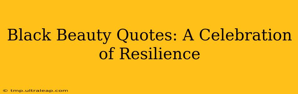 Black Beauty Quotes: A Celebration of Resilience