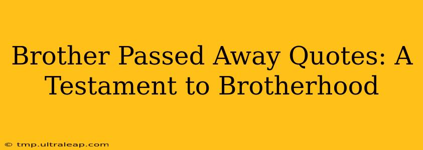 Brother Passed Away Quotes: A Testament to Brotherhood