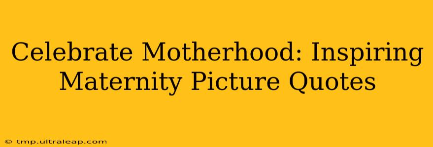 Celebrate Motherhood: Inspiring Maternity Picture Quotes