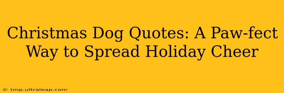 Christmas Dog Quotes: A Paw-fect Way to Spread Holiday Cheer