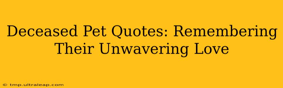 Deceased Pet Quotes: Remembering Their Unwavering Love