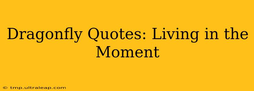 Dragonfly Quotes: Living in the Moment