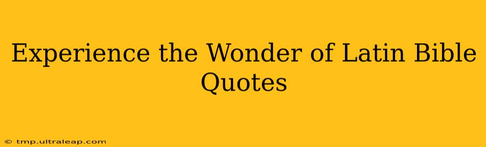 Experience the Wonder of Latin Bible Quotes