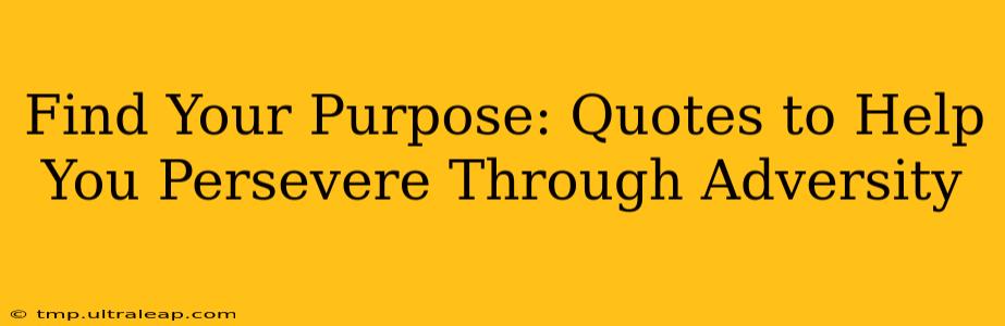 Find Your Purpose: Quotes to Help You Persevere Through Adversity