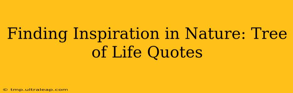 Finding Inspiration in Nature: Tree of Life Quotes