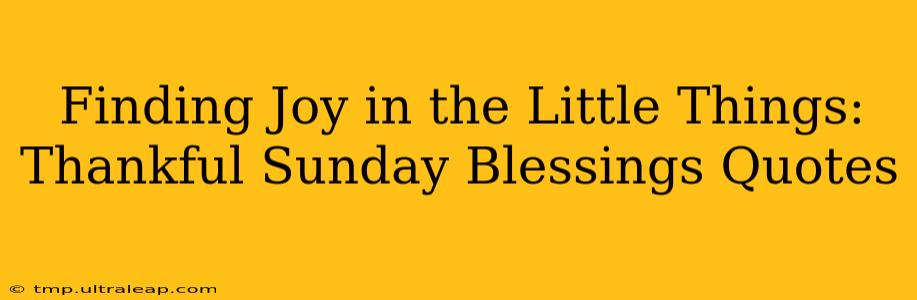 Finding Joy in the Little Things: Thankful Sunday Blessings Quotes