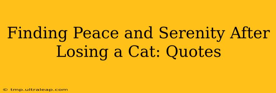 Finding Peace and Serenity After Losing a Cat: Quotes