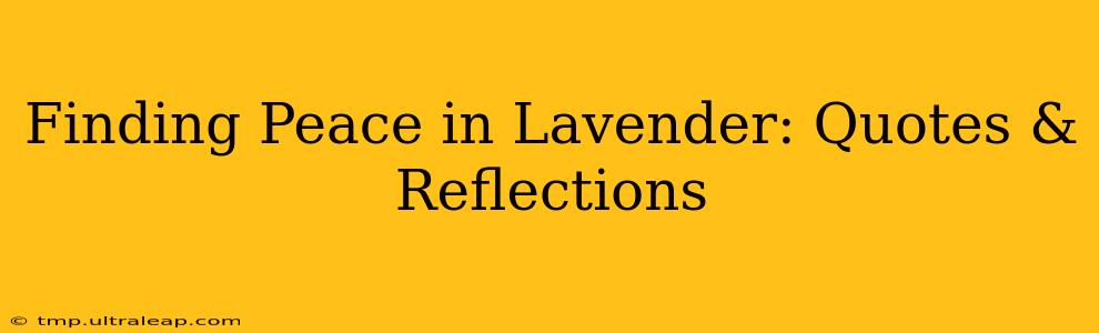 Finding Peace in Lavender: Quotes & Reflections