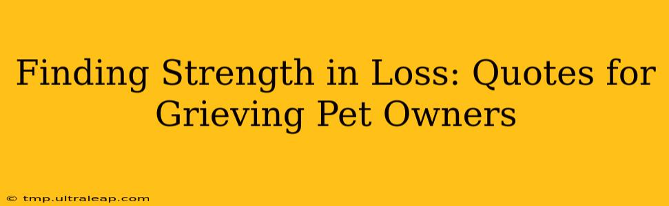 Finding Strength in Loss: Quotes for Grieving Pet Owners