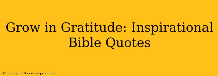 Grow in Gratitude: Inspirational Bible Quotes