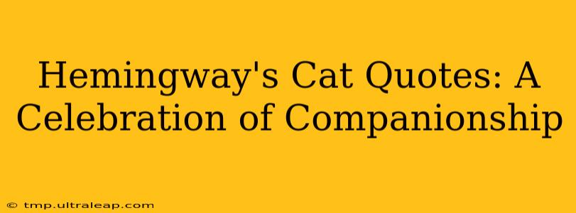 Hemingway's Cat Quotes: A Celebration of Companionship