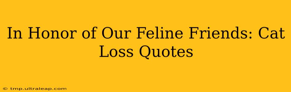 In Honor of Our Feline Friends: Cat Loss Quotes