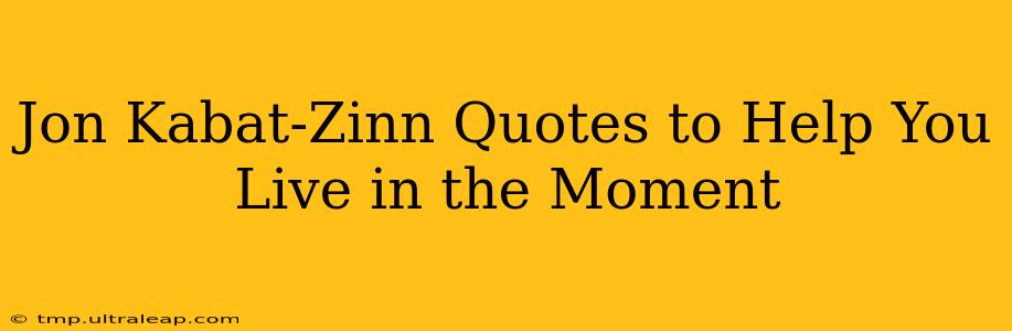 Jon Kabat-Zinn Quotes to Help You Live in the Moment