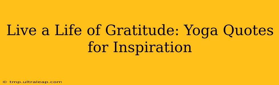 Live a Life of Gratitude: Yoga Quotes for Inspiration