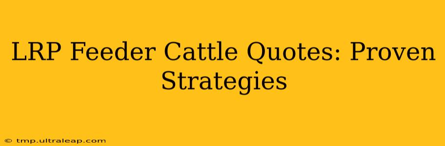 LRP Feeder Cattle Quotes: Proven Strategies