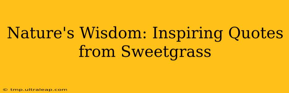 Nature's Wisdom: Inspiring Quotes from Sweetgrass