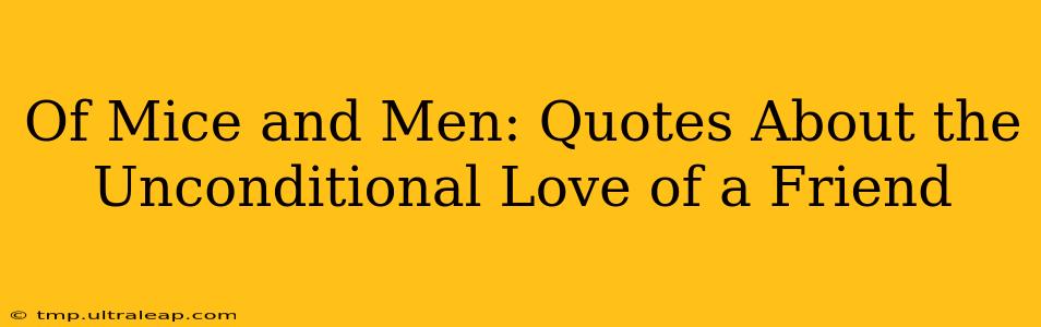 Of Mice and Men: Quotes About the Unconditional Love of a Friend