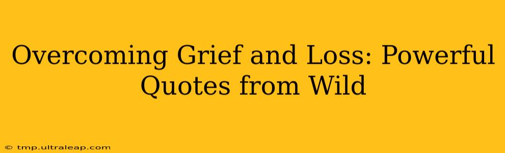 Overcoming Grief and Loss: Powerful Quotes from Wild