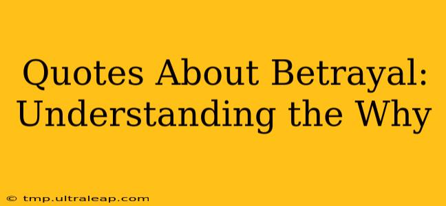 Quotes About Betrayal: Understanding the Why