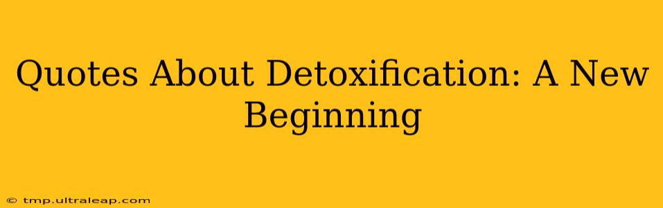 Quotes About Detoxification: A New Beginning