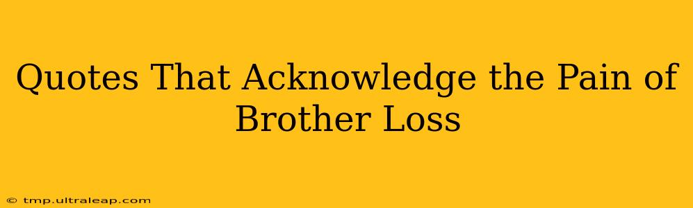 Quotes That Acknowledge the Pain of Brother Loss