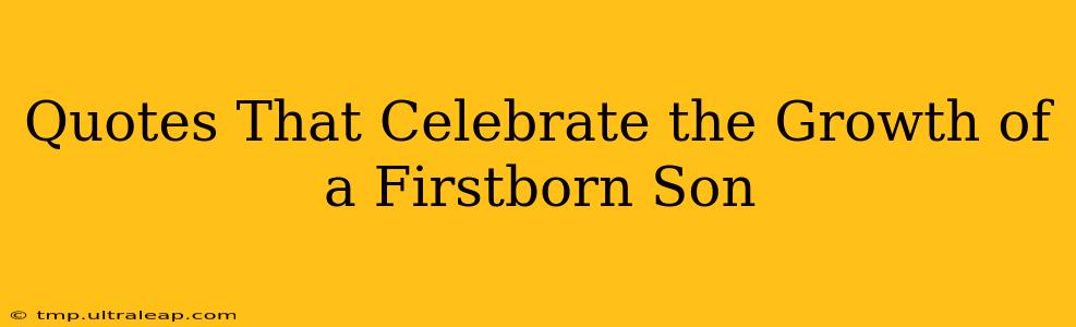 Quotes That Celebrate the Growth of a Firstborn Son