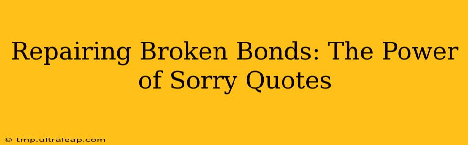 Repairing Broken Bonds: The Power of Sorry Quotes