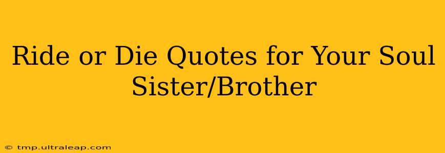 Ride or Die Quotes for Your Soul Sister/Brother