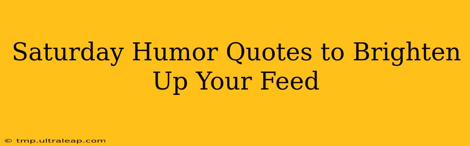 Saturday Humor Quotes to Brighten Up Your Feed