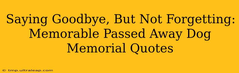 Saying Goodbye, But Not Forgetting:  Memorable Passed Away Dog Memorial Quotes