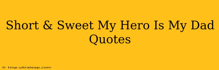 Short & Sweet My Hero Is My Dad Quotes