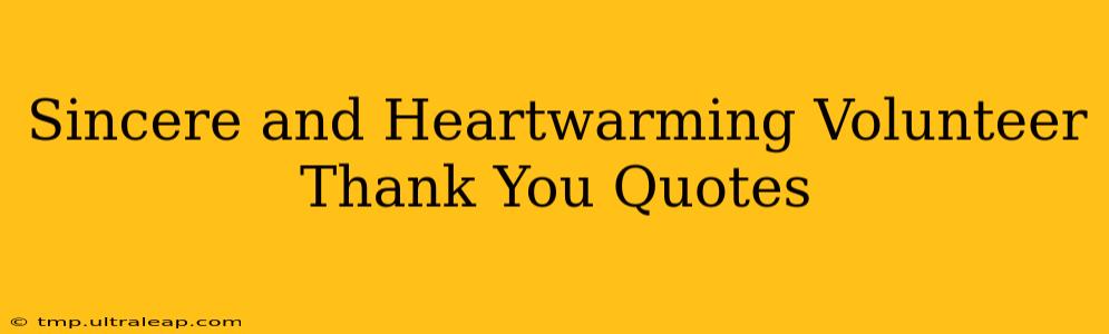 Sincere and Heartwarming Volunteer Thank You Quotes