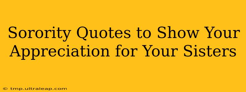 Sorority Quotes to Show Your Appreciation for Your Sisters