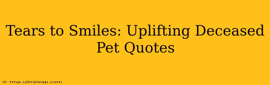 Tears to Smiles: Uplifting Deceased Pet Quotes