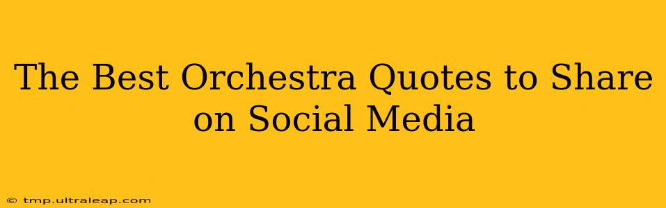 The Best Orchestra Quotes to Share on Social Media