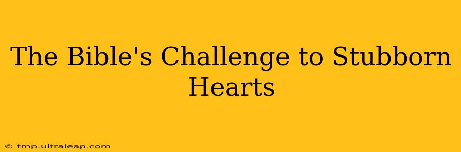 The Bible's Challenge to Stubborn Hearts