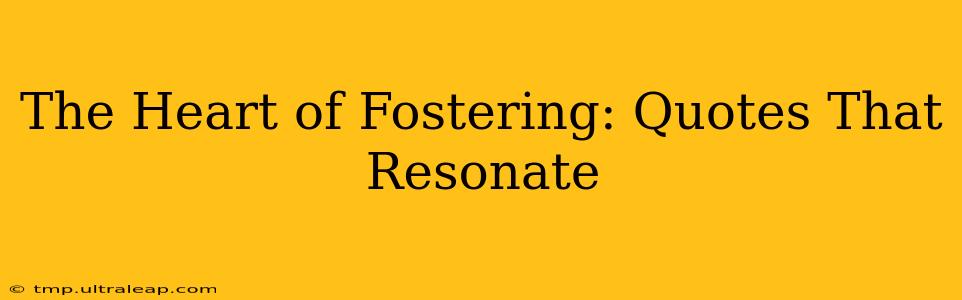 The Heart of Fostering: Quotes That Resonate