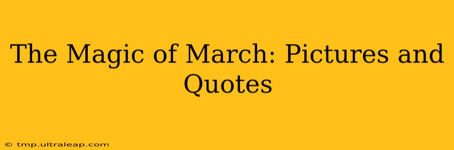 The Magic of March: Pictures and Quotes