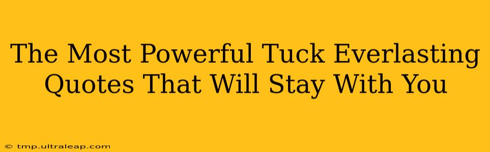 The Most Powerful Tuck Everlasting Quotes That Will Stay With You