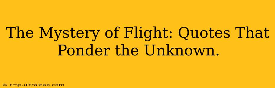 The Mystery of Flight: Quotes That Ponder the Unknown.