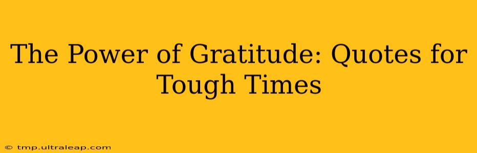 The Power of Gratitude: Quotes for Tough Times