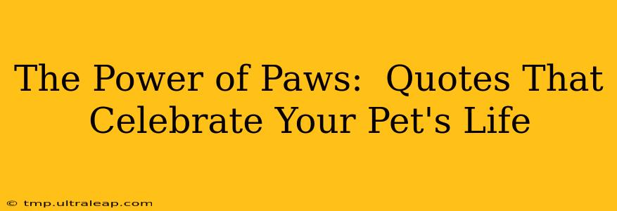 The Power of Paws:  Quotes That Celebrate Your Pet's Life