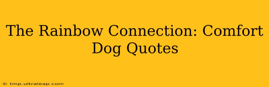 The Rainbow Connection: Comfort Dog Quotes