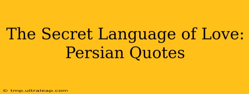 The Secret Language of Love: Persian Quotes