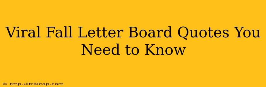 Viral Fall Letter Board Quotes You Need to Know